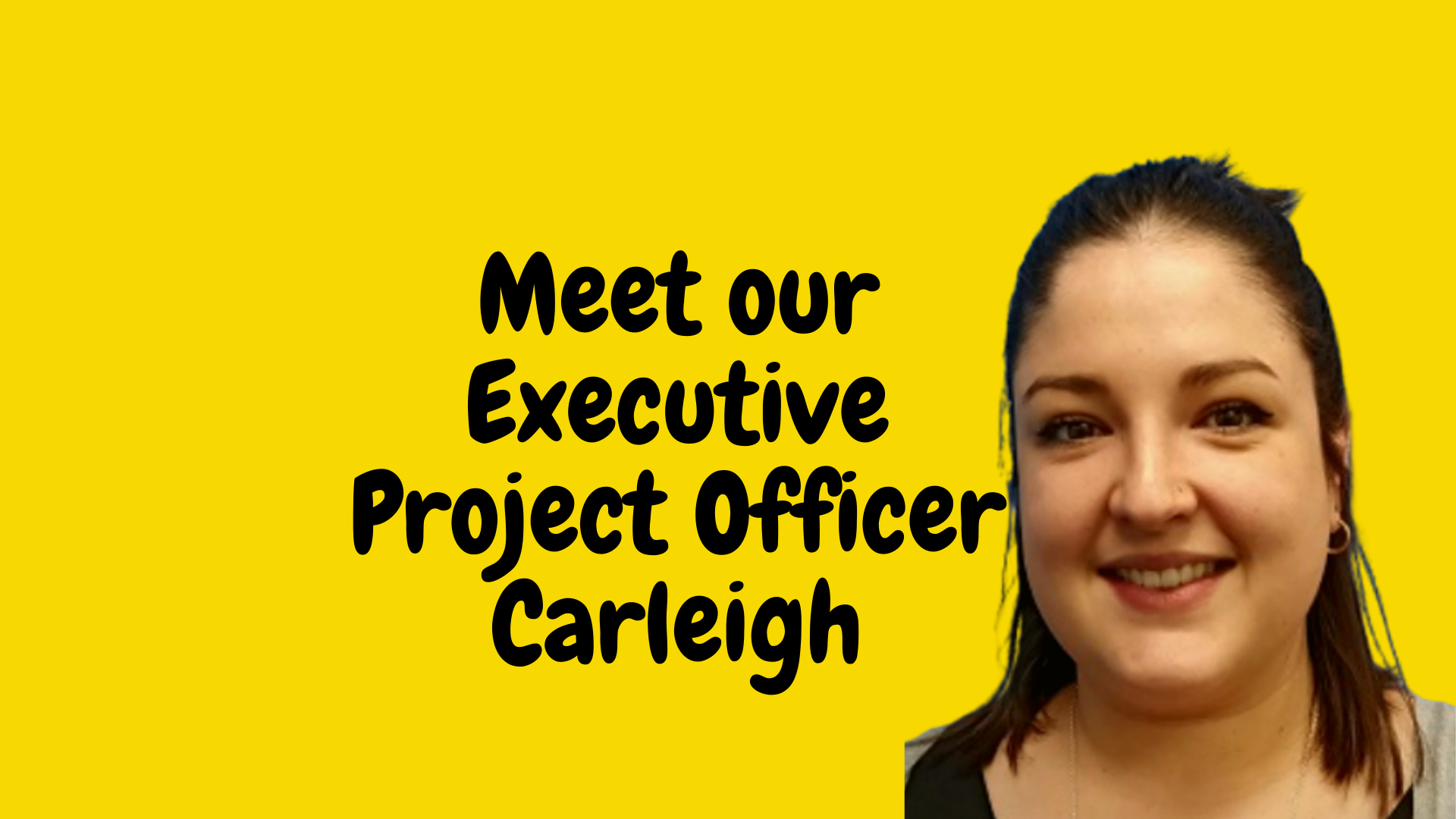 Executive Project Officer